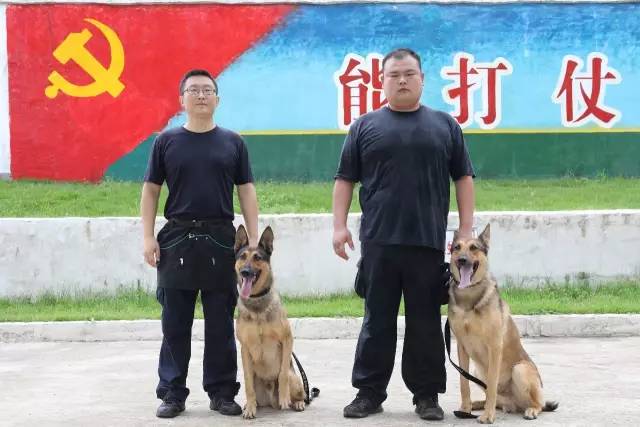 制定篮球交流计划以促进个人技能发展的方法_1